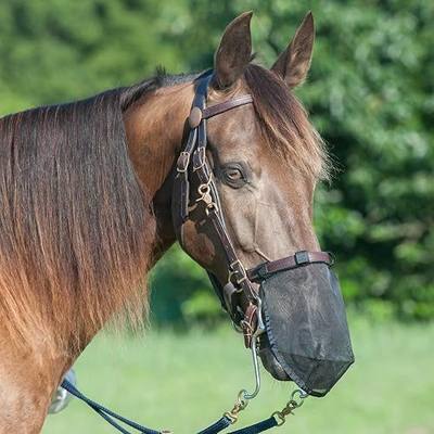 Cashel Quiet Ride Nose Net L