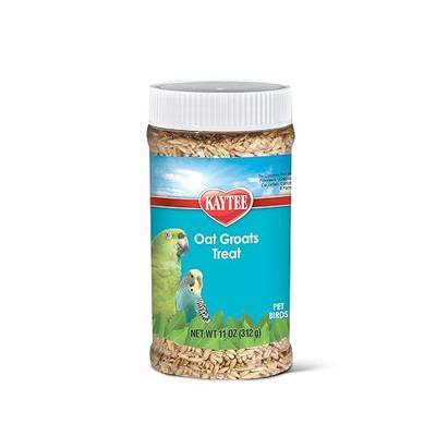Kaytee Oat Groats Treat Jar- All Pet Birds 11 oz