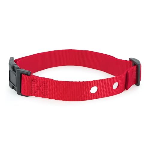 PetSafe 1 Inch Replacement Collar Strap with 2 Holes, Red | Compatible with PetSafe In-Ground Fences and Wireless Fences, Fits Neck Sizes 6-28 in