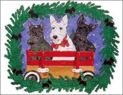 Pipsqueak Scottish Terrier Christmas Cards : 10 Holiday Cards with Red Envelopes - ADORABLE!