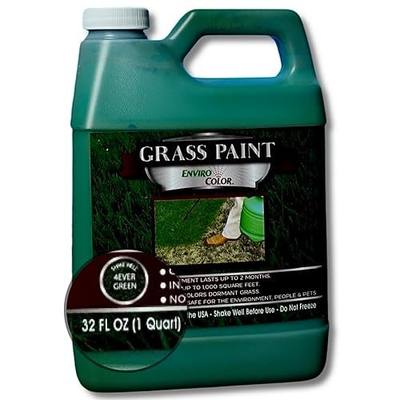 4EverGreen Grass Colorant/Turf Paint – 32 oz Concentrate Covers 1,000 sq ft – Restore Dormant, Drought-Stricken or Faded Lawns – Non-Toxic, Water-Based, Safe for Pets