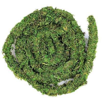 Galápagos (05266) MossVine, Real Moss Vine, 12FT, Green