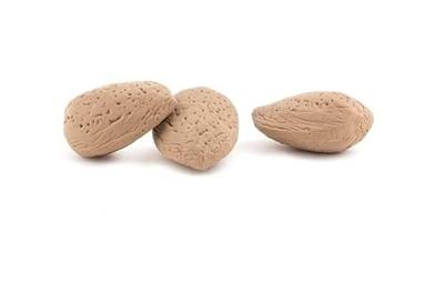Kikkerland Almond Eraser, Set of 3 (ER48P)