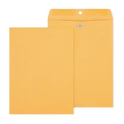 Staples 9 x 12 Kraft Clasp Envelopes, Brown Manila, Reinforced Metal Clasp & Gummed Seal, Heavy‑Duty Mailing Envelopes, 250/Pack