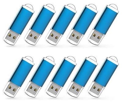 RAOYI 10 Pack 1GB 1G USB Flash Drive USB 2.0 Memory Stick Bulk Thumb Drive Pen Drive Blue