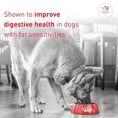 ROYAL CANIN Veterinary Diet Canine Gastrointestinal Low Fat Adult Loaf Dog Food, 13.5 oz (Pack of 12).