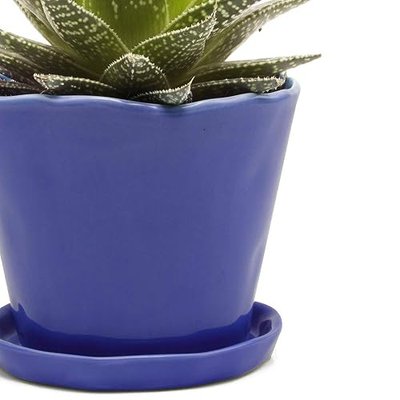 Chive ‘Tika’ Ceramic Plant Pots — Cute, Beautiful Pots for Flowers & House Plants Indoor & Outdoor — Big (12.7cm) — Cobalt Blue