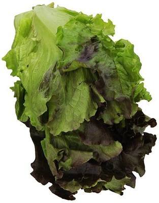 Red Leaf Lettuce, 1 Head