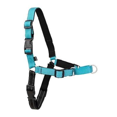 PetSafe Easy Walk Deluxe Dog Harness, No Pull Dog Harness – Perfect for Leash & Harness Training – Stops Pets from Pulling and Choking on Walks – Medium, Ocean