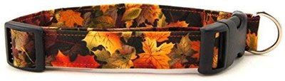 Autumn Leaves Dog Collar with Quick Release Buckle (Small)