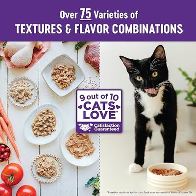 Wellness Healthy Indulgence Morsels Adult Wet Cat Food, Natural, Protein Rich, Grain Free, Salmon and Tuna Recipe, 3 oz, Pack of 24 Pouches