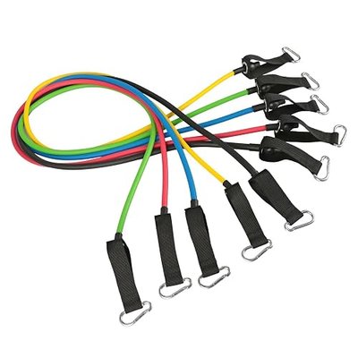 Physport Professional Exercise Resistance Bands Set Cushioned Handles Door Anchor Ankle Straps Carry Bag
