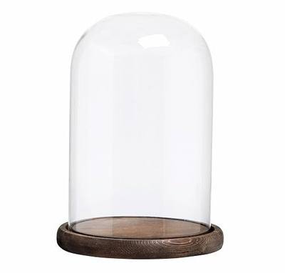 MyGift Glass Bell Jar Cloche Display Dome with Rustic Burnt Wood Base | 10 Inch Tall Decorative Glass Dome Jar Elegant Showcase Cover Display for Plants, Curios, Keepsakes, Heirlooms