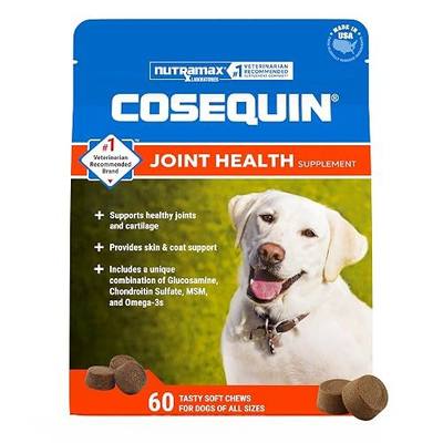 Nutramax Cosequin Dog Joint Supplement, Skin & Coat, Soft Chews, 60ct | Glucosamine & Chondroitin for Dogs with MSM, Omega-3s, Supports Joints, Skin and Coat Health, All Ages & Sizes