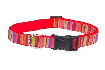 XSmall Lime/Coral Stripe Dog Collar: 1/2" Wide, Adjusts 6-12" - Made in USA.