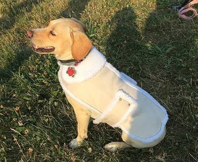CT DISCOUNT STORE Shearling Fleece Dog Jacket Premium Quality (Medium)