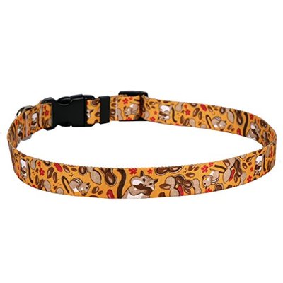 Yellow Dog Design Chipmunks Dog Collar 3/8" Wide and Fits Neck 4 to 9"