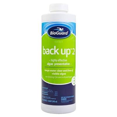 BioGuard Back Up 2 Algae Preventative, 1 Quart, Single Pack | Proven Effective Algae Preventative, Non-Staining, Keeps Water Clean and Clear