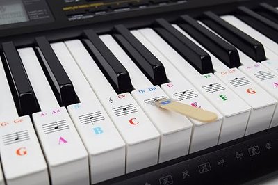 QMG Piano Stickers for 61-Key Keyboard, Color-Coded Notes, Visual Reference Tool for Beginners, Transparent and Removable, Leaves No Residue, Made in USA