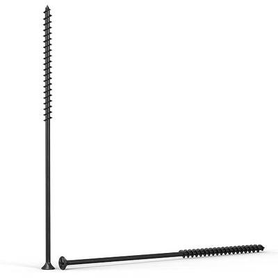 Qualihome #10 Coarse Thread Sharp Point Drywall Screw with Phillips Drive #2 Bugle Head, 1 Lb/Pound, Black, Ideal Screw for Drywall Sheetrock, Wood and More (6 Inch)