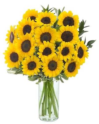 KaBloom-15 Sunflowers Bouquet,Flowers for Valentine, Mother's Day