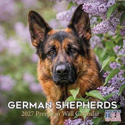 German Shepherd Calendar 2027 16 Month Wall Calendar 2026 2027