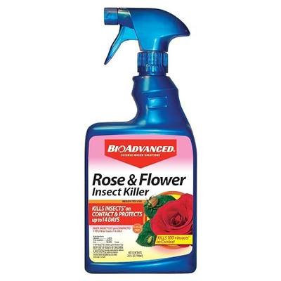 BioAdvanced Rose & Flower Insect Killer Spray - 24 oz Bottle | Kills 100+ Insects on Contact - Ready-to-Use - Up to 14 Days Protection - For Roses, Flowers, and Garden Plants