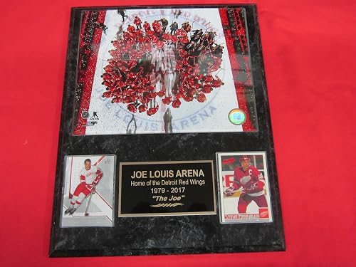 Joe Louis Arena Red Wings Final Game 2 Card Collector Plaque w/8x10 Photo
