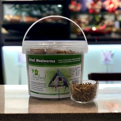 Songbird Essentials 16 oz. Tub of Dried Mealworms | High Protein Treat; For Birds and Chickens; Dried Mealworms; Backyard Feeding