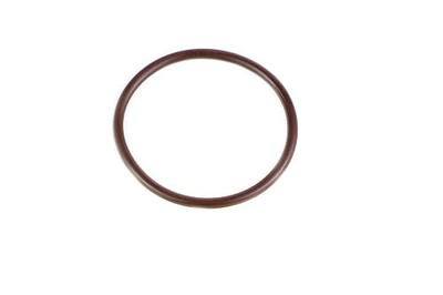 RKX High pressure Fuel Pump Seal compatible with VW Audi WHT005184, WHT 005 184 HPFP Gasket O-Ring