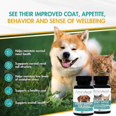 AminAvast Small Dogs & Cat Kidney Support - Promotes Healthy Kidney Support in Cats & Small Dogs - 300mg, 60 Capsule | Open and Mix With Food, Give Twice Daily, Hydration Support, Amino Acid and Peptide Blend for Cats and Small Dogs Up to 20 lb