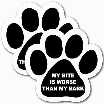 Magnet Me Up: My Dog is Smarter Than The President Pawprint Magnet Decal - 5 Inch, Heavy-Duty Automotive Magnet for Car, Truck, SUV - Express Your Humorous Side with This Pet-Centric Auto Magnet