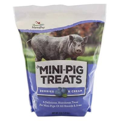 Manna Pro Mini-Pig Treats, Berries and Cream Flavor, Natural and Delicious Reward for Mini Pigs, Supports Training and Bonding, Promotes Healthy Snacking, 4 lb
