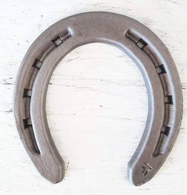 Steel Horseshoes Set for Horses, Crafts, Decorations and Backyard Games - Size 000 - R1-F - Sand Blasted 10 Shoes