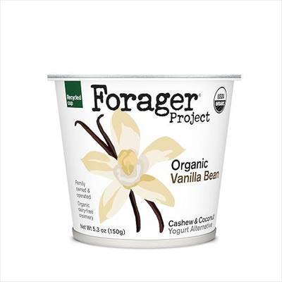 Forager Project, Organic Dairy-Free Vanilla Bean Cashewmilk Yogurt Alternative, 5.3 Ounce