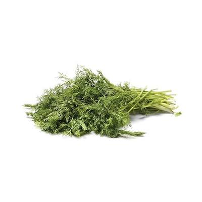 Herb Dill Organic, 1 Bunch
