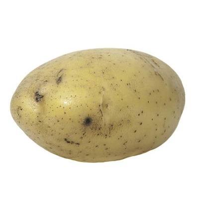 Gold Potato, 1 Each