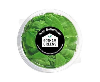 Gotham Greens Baby Butterhead, 1 Each