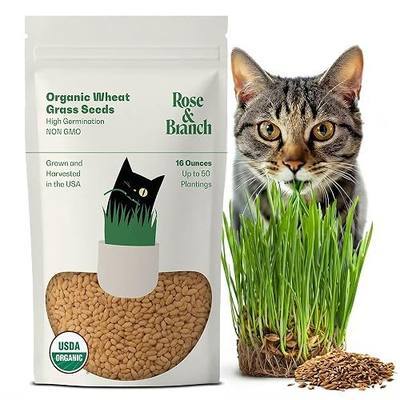 Rose & Branch Organic Wheat Grass Seeds for Indoor Cats - Cat Grass Seeds - 16 Ounces - 100% Organic Non-GMO - Hard Red Wheat - Harvested in USA - Easy to Grow