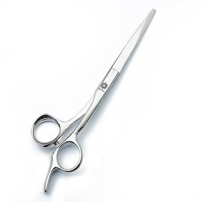 Dream Reach Professional Hair Cutting Scissors 6.5/6.0/5.5 inches Barber Cutting Styling Tool Hair Scissors Japan 440C Salon Hairdressing Shears with Detachable Finger Inserts (6.0 inches, Silver)