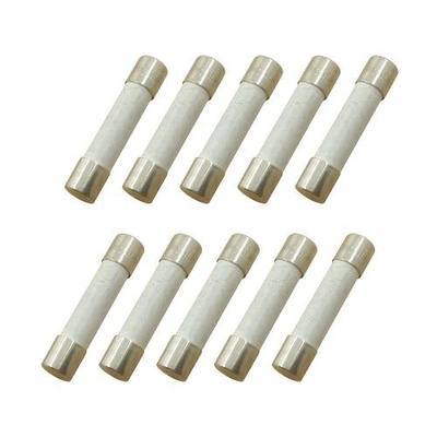 (Pack of 10) 20 Amp Slow-Blow Time Delay Fuse Ceramic 6x30mm