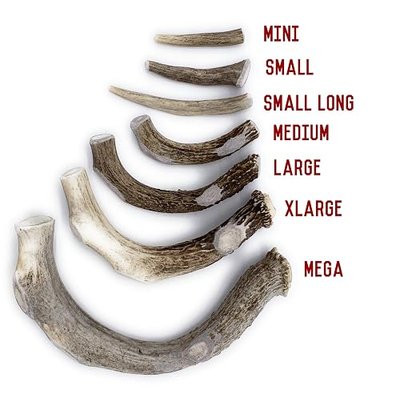 Deer Antler Dog Chew - Grade A, All Natural, Organic, and Long Lasting Treats - Made from Naturally Shed Antlers in The USA (B. Small - Dog Weight 10-20 Lbs, 2 - Pack)