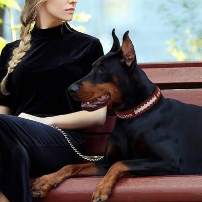 Pets First Tough Leather Pet Collar NFL Atlanta Falcons Premium Dog Collar, Limited Edition, Size Large. Best & Strongest Heavy-Duty Dog Collar!, 20-29" Long & 1" Wide, ATL-3081-LG