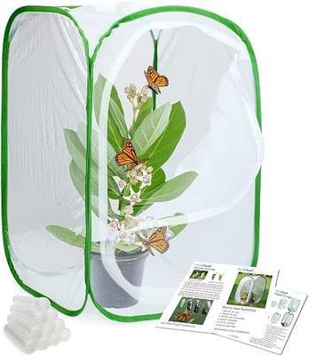 RESTCLOUD Insect and Butterfly Habitat Cage Terrarium Pop-up 24 Inches Tall with 10Pcs 10ML Floral Tubes