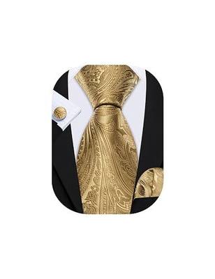 Barry.Wang Mens Tie Set Paisley Silk Necktie with Pocket Square Cufflinks