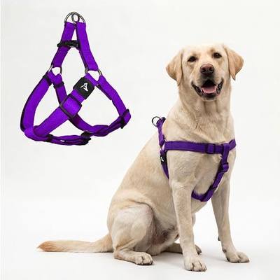 Kruz No Pull Dog Harness (Chest 26”-38”, Weight 44-88 lbs) Heavy-Duty Pet Harness for Large Breeds, Ultra-Comfort Fit, Lifetime Durability, Adjustable Dog Harness No Pull Design (Amethyst, Large)