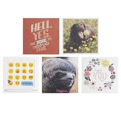 Hallmark Studio Ink Birthday Greeting Cards (5 Cards, 5 Envelopes)
