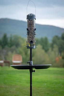 Brome Mega 600 Bird Feeder – Large Capacity Tube Feeder for Wild Birds, 6 Feeding Ports, 4 lb Seed Capacity, Easy to Clean, Metal Ports, Extendable Perches | 6 Feeding Ports, Seed Tube Ventilation Keeps Seed Dry, Detachable Components for Easy Cleaning