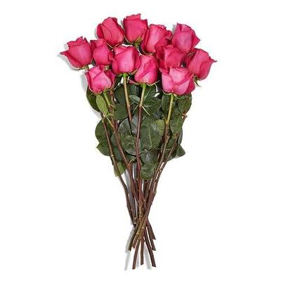 Rose 12 Stem 40cm, 1 EA