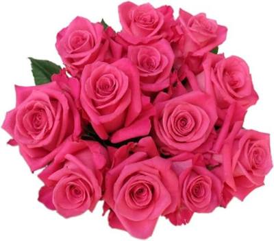 Floral, Rose 12 Stems, 60 CM